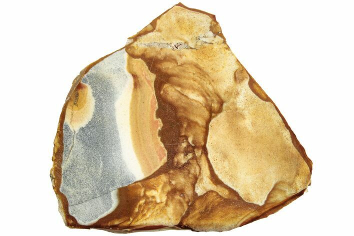 Polished Golden Picture Jasper Slice - Nevada #207619